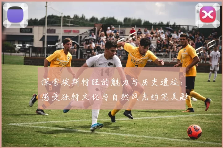 探索埃斯特旺的魅力与历史遗迹，感受独特文化与自然风光的完美融合