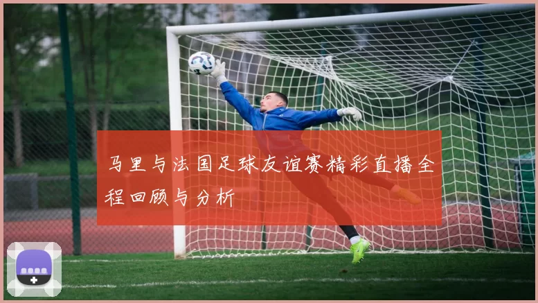 马里与法国足球友谊赛精彩直播全程回顾与分析