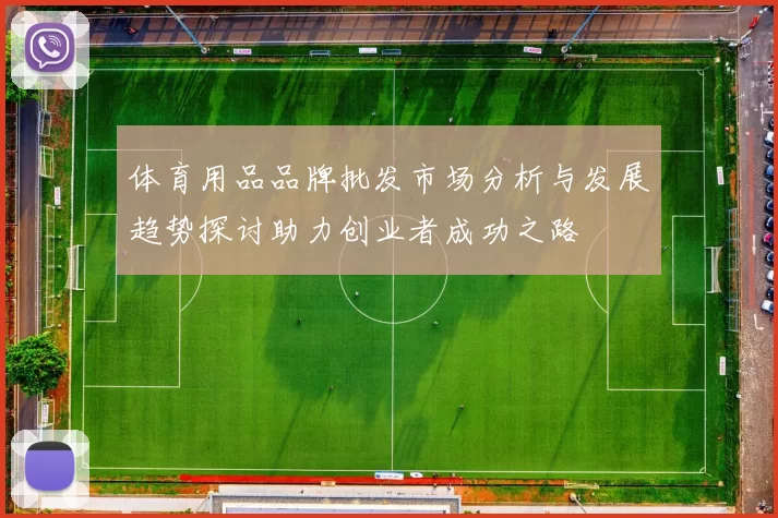 体育用品品牌批发市场分析与发展趋势探讨助力创业者成功之路
